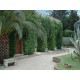 Properties for Sale_Luxury and historical villa for sale in Le Marche - Villa Marina in Le Marche_4